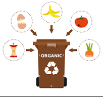 Informazioni all'utenza sul conferimento dei rifiuti organici, c.d. umido