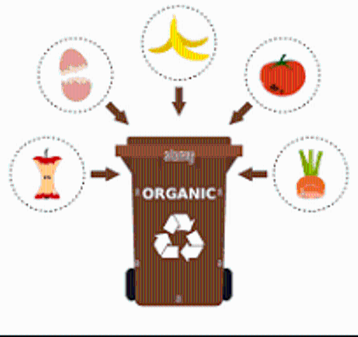 Istruzioni per il corretto conferimento del rifiuto organico.